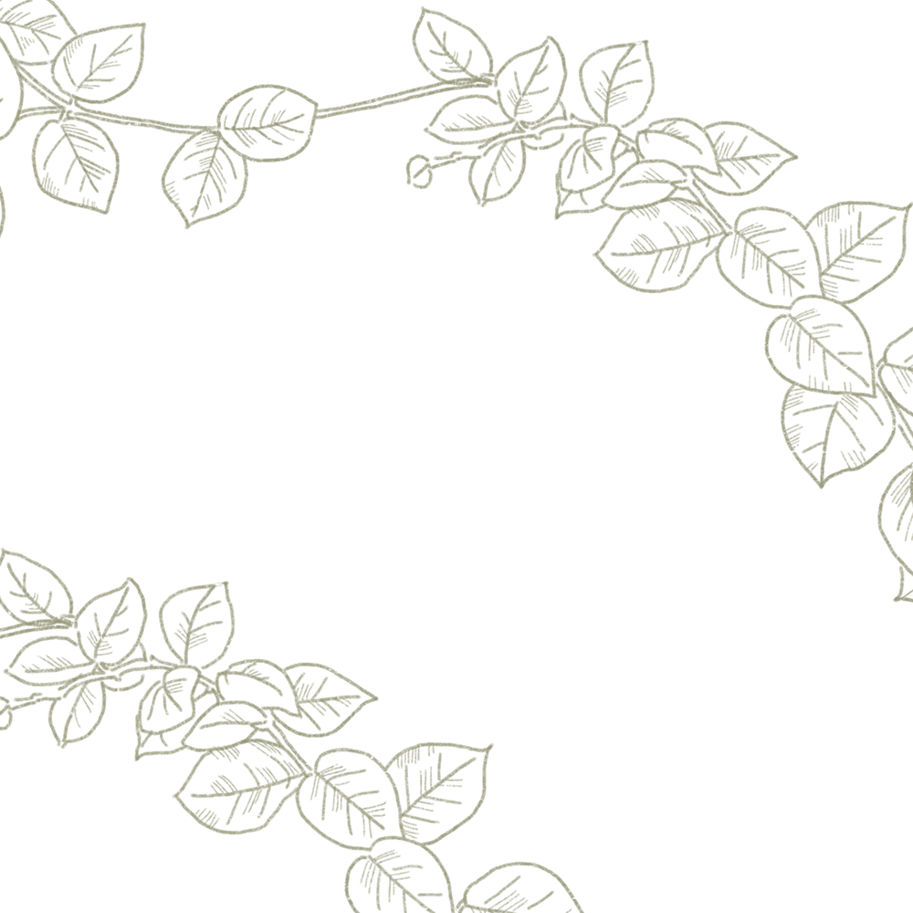 にのるんじゃーロゴ